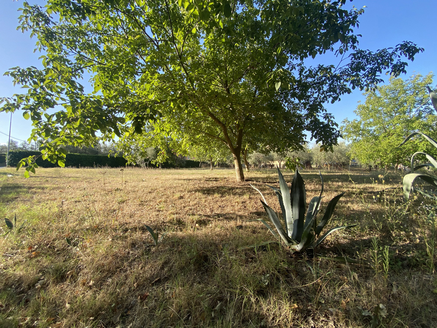Terreno Edificabile in vendita a Isernia