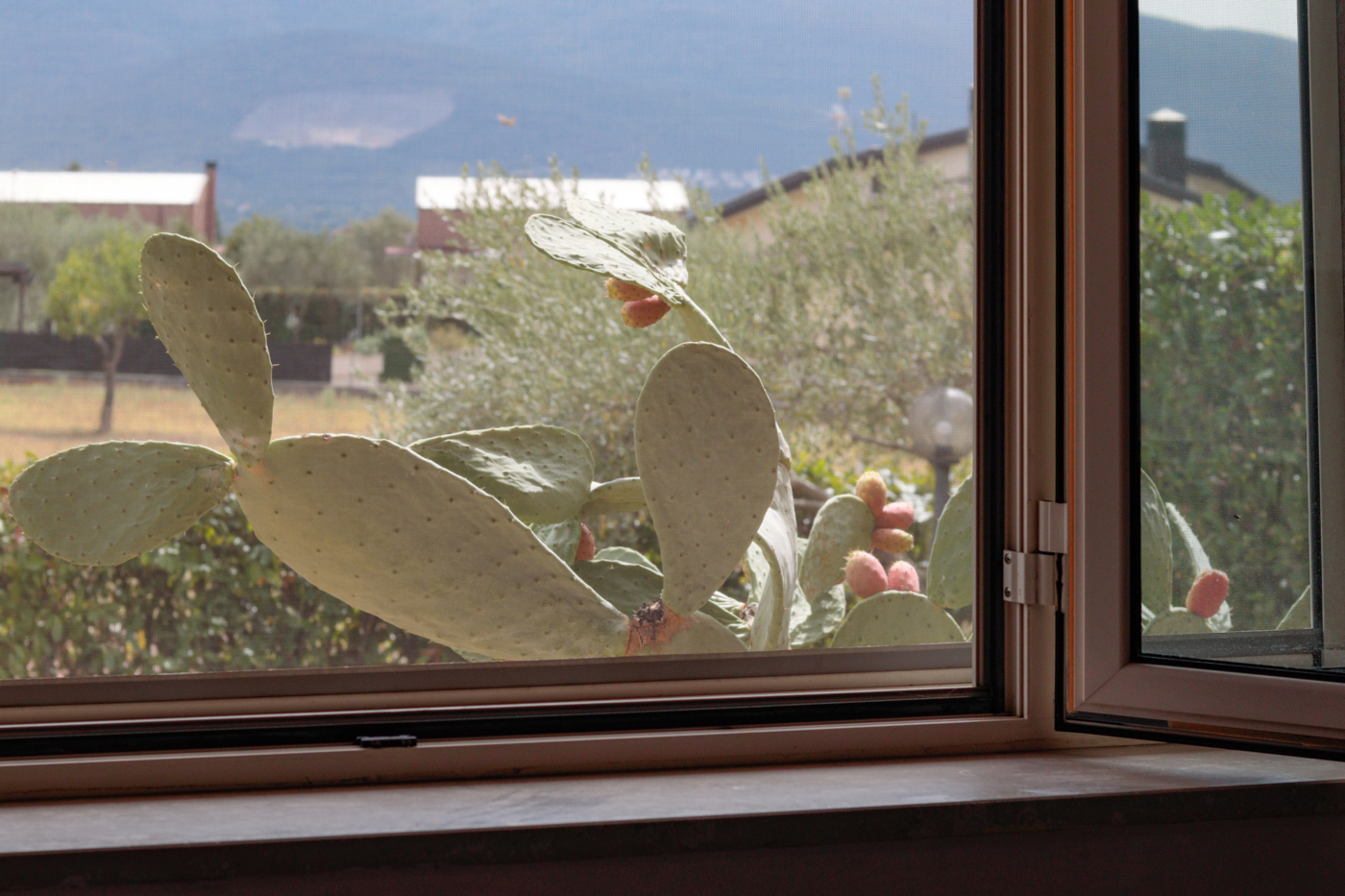 Trilocale con giardino a Isernia