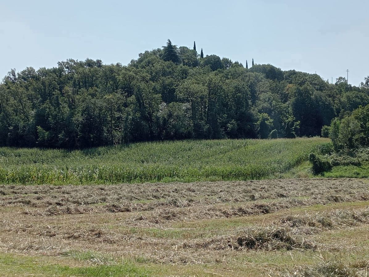 Rustico in vendita a Monzambano