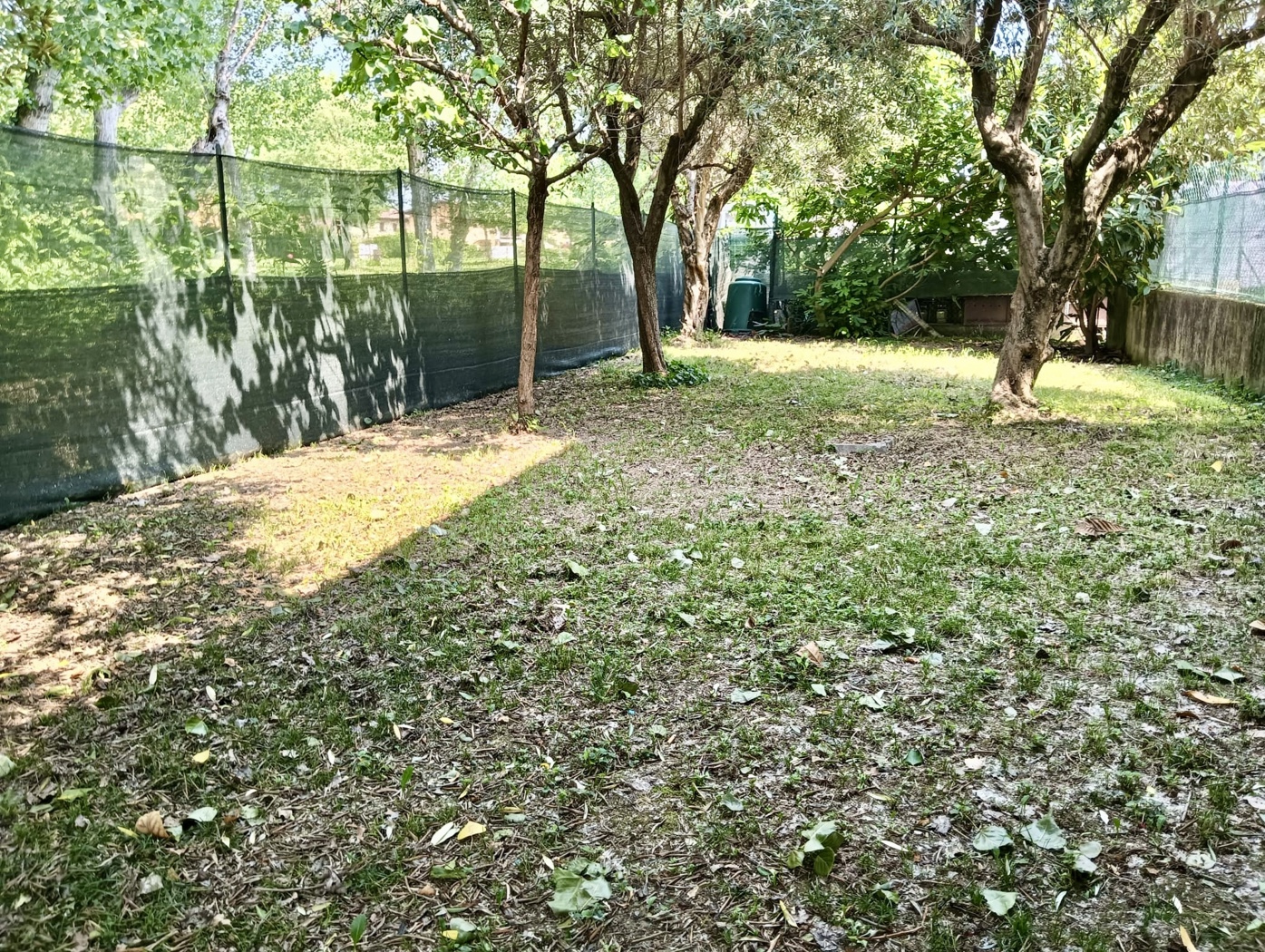 Quadrilocale con giardino a Sirmione