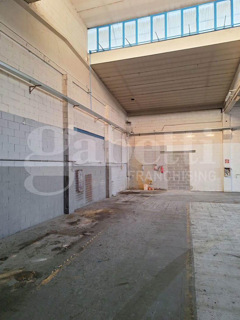 immagine annuncio 3 di 8