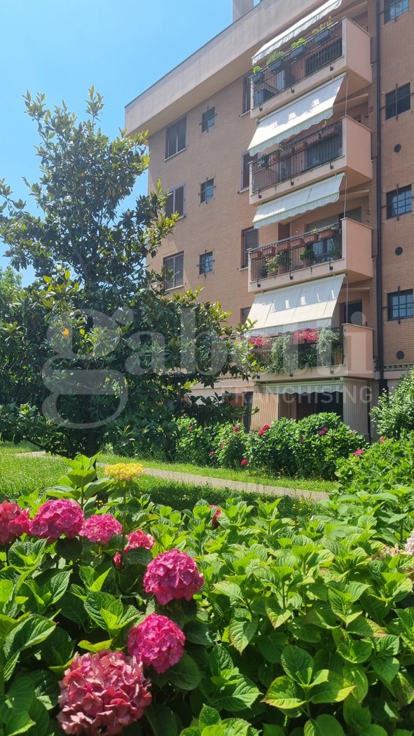 Trilocale arredato in affitto a Rozzano