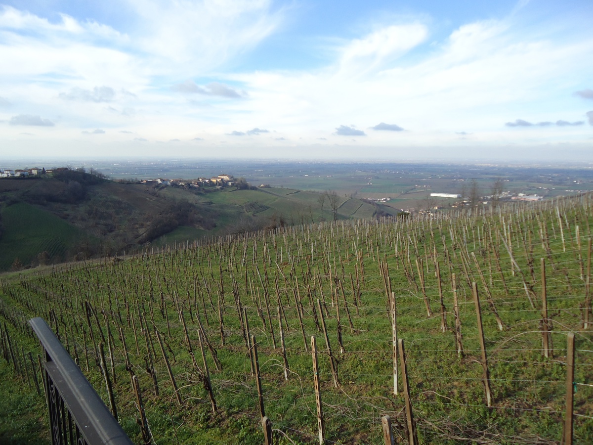 Villa con giardino a Pietra de' Giorgi
