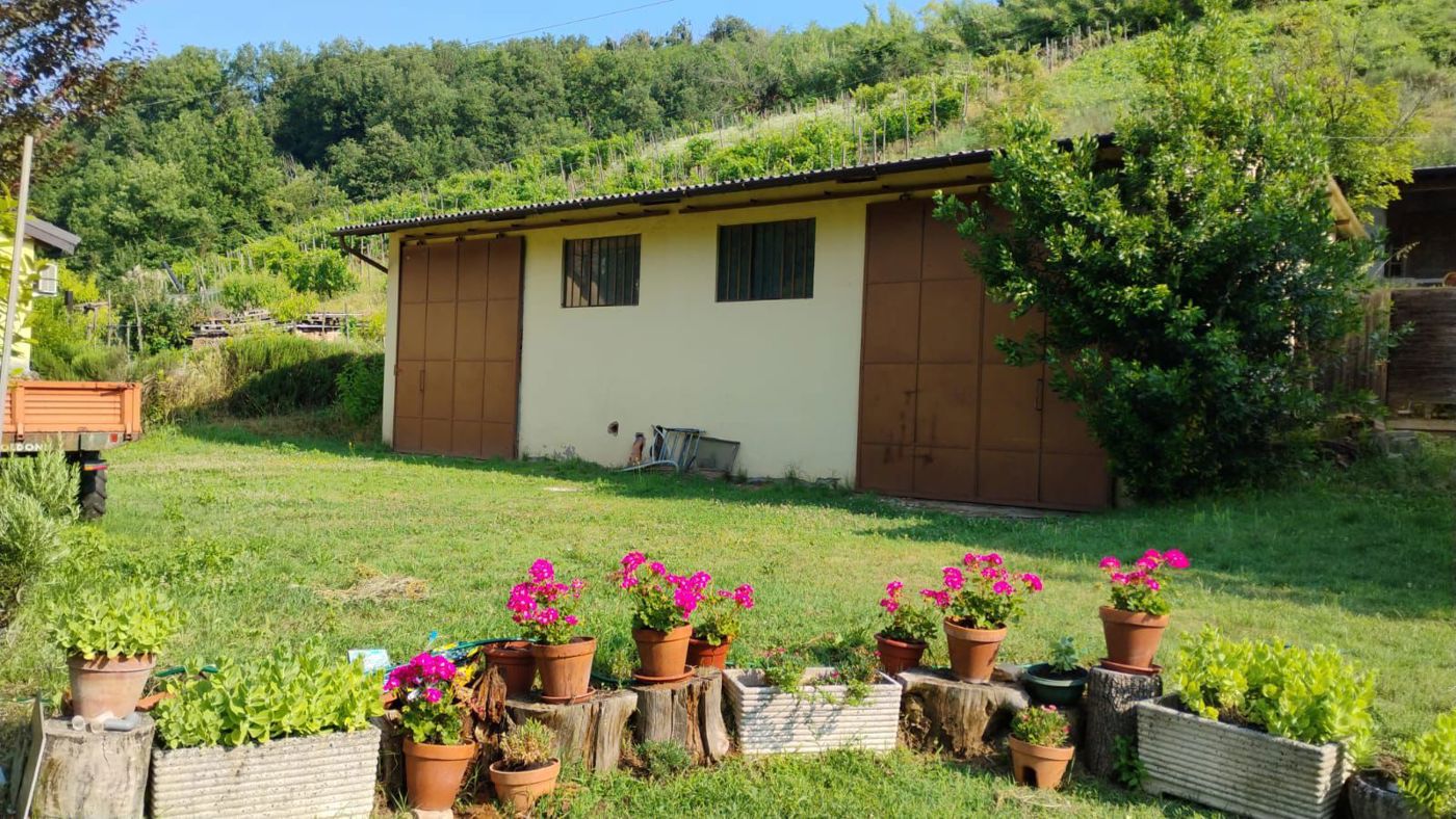 immagine annuncio 2 di 10