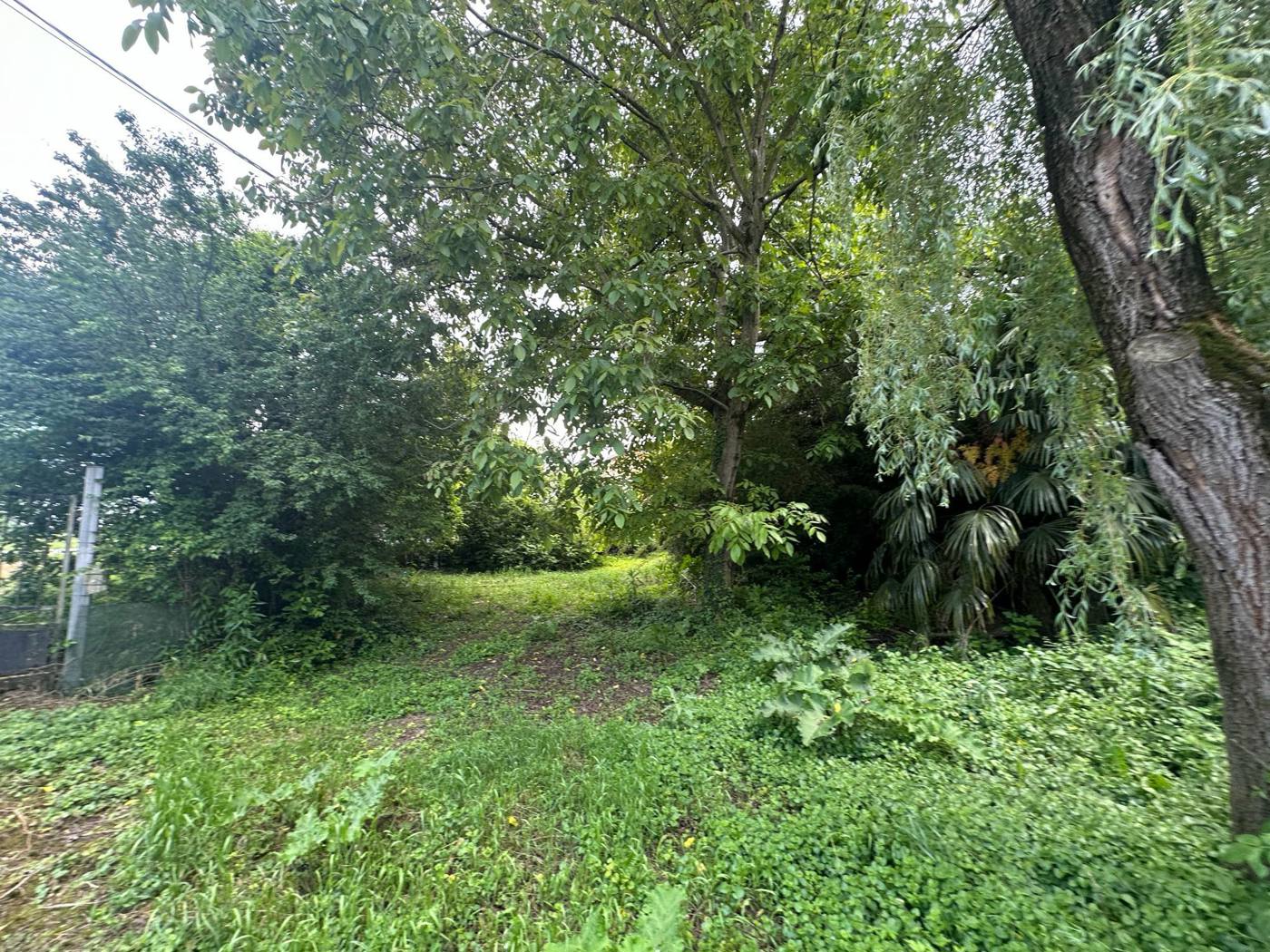 Casa indipendente in vendita a Arena Po