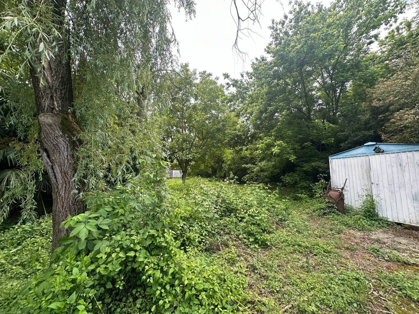 Casa indipendente in vendita a Arena Po