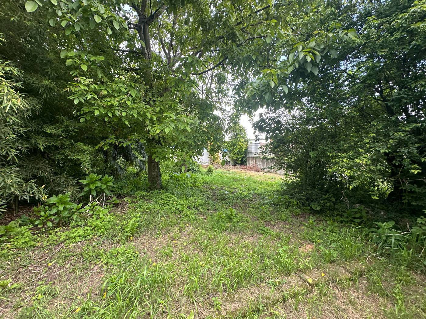 Casa indipendente in vendita a Arena Po