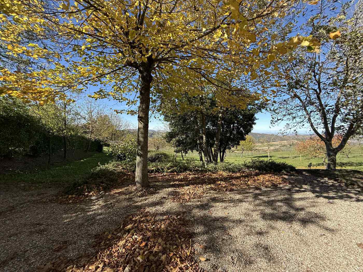Casa indipendente con giardino a Colli Verdi