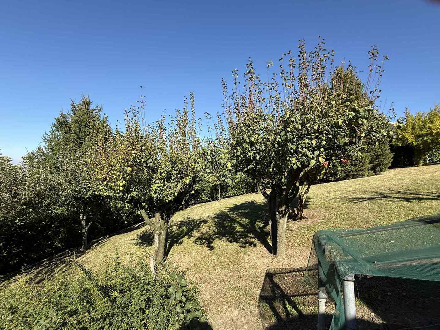 Villa con giardino a Mont Beccaria