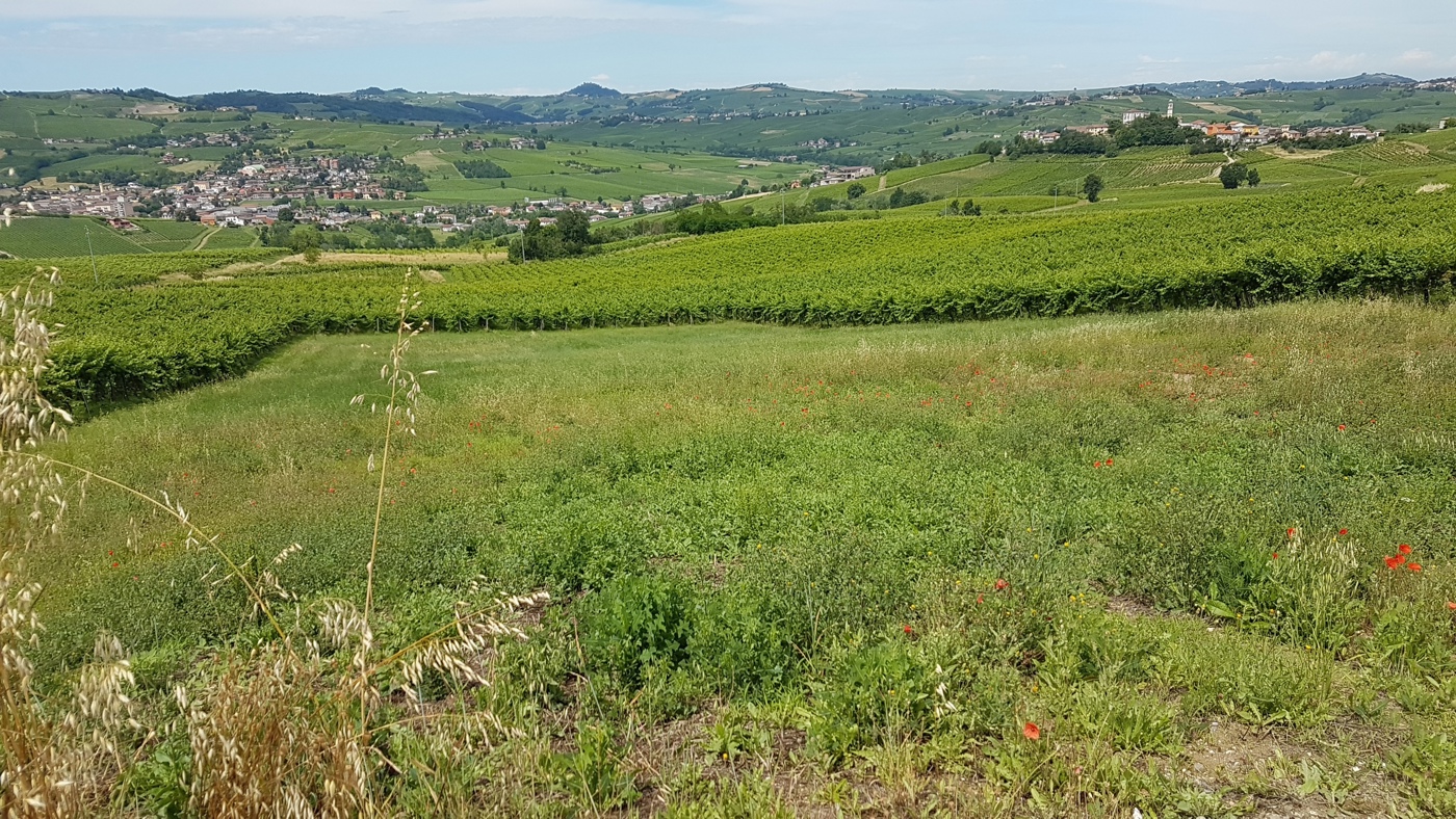 Casa indipendente con giardino a Santa Maria della Versa