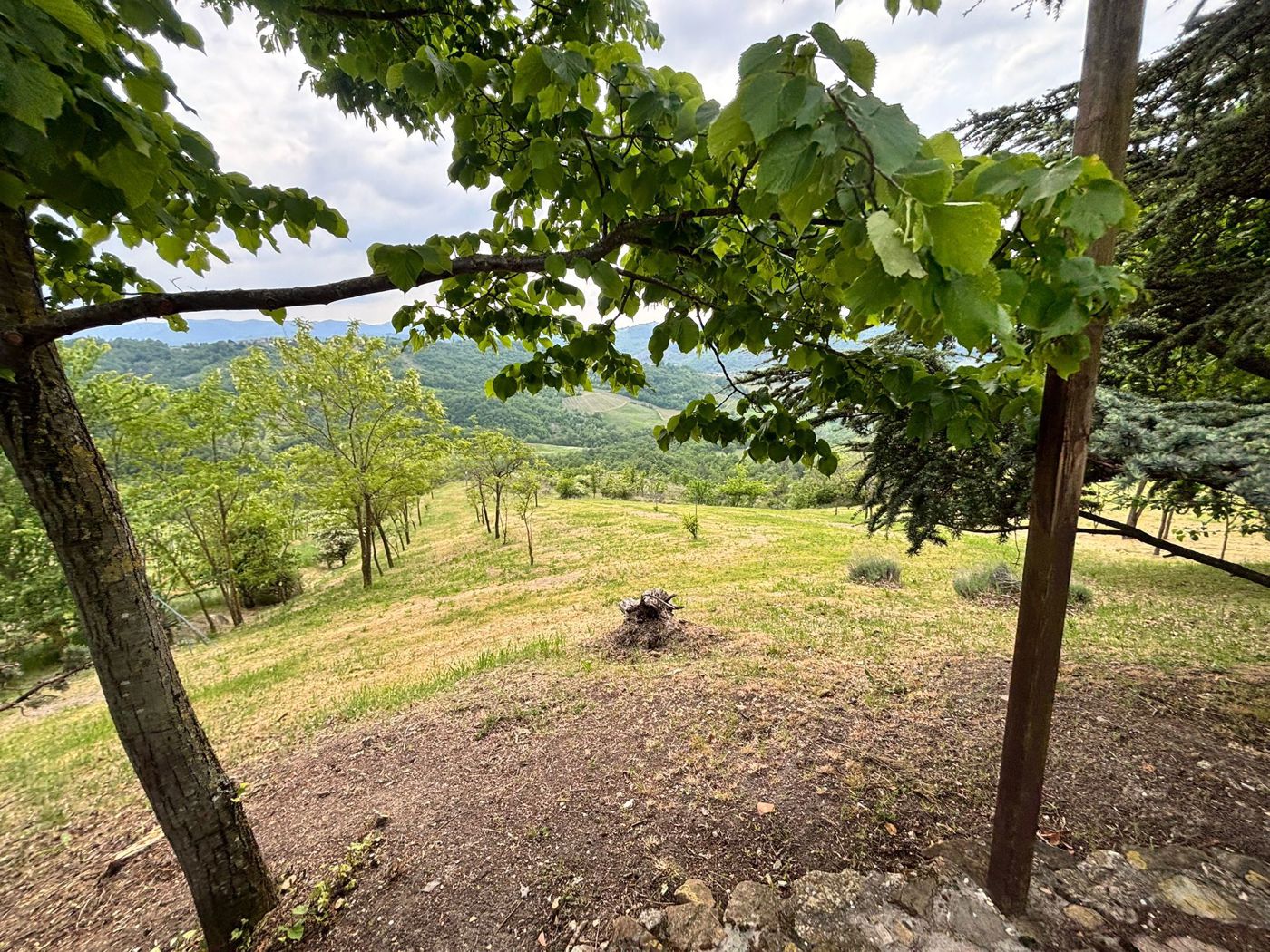 Casa indipendente con giardino a Colli Verdi