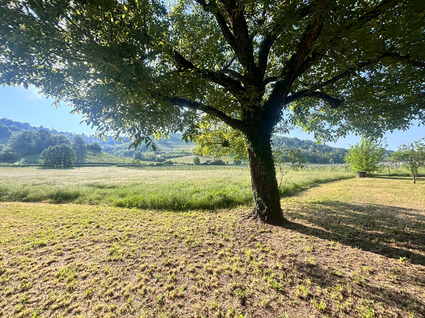 Casa indipendente con giardino a Cigognola