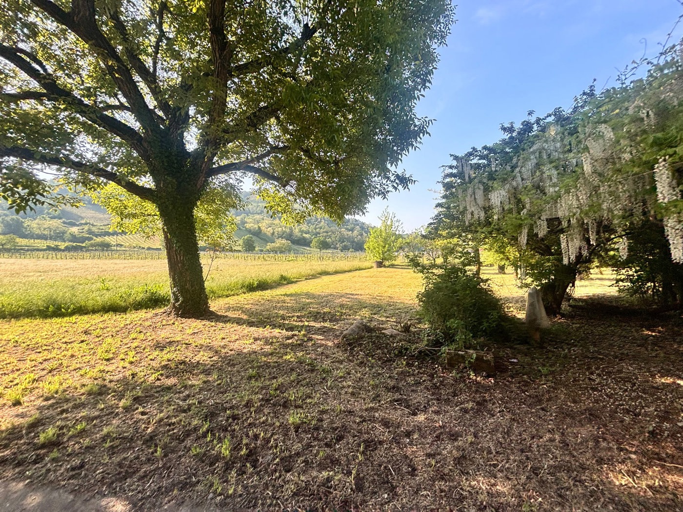 Casa indipendente con giardino a Cigognola