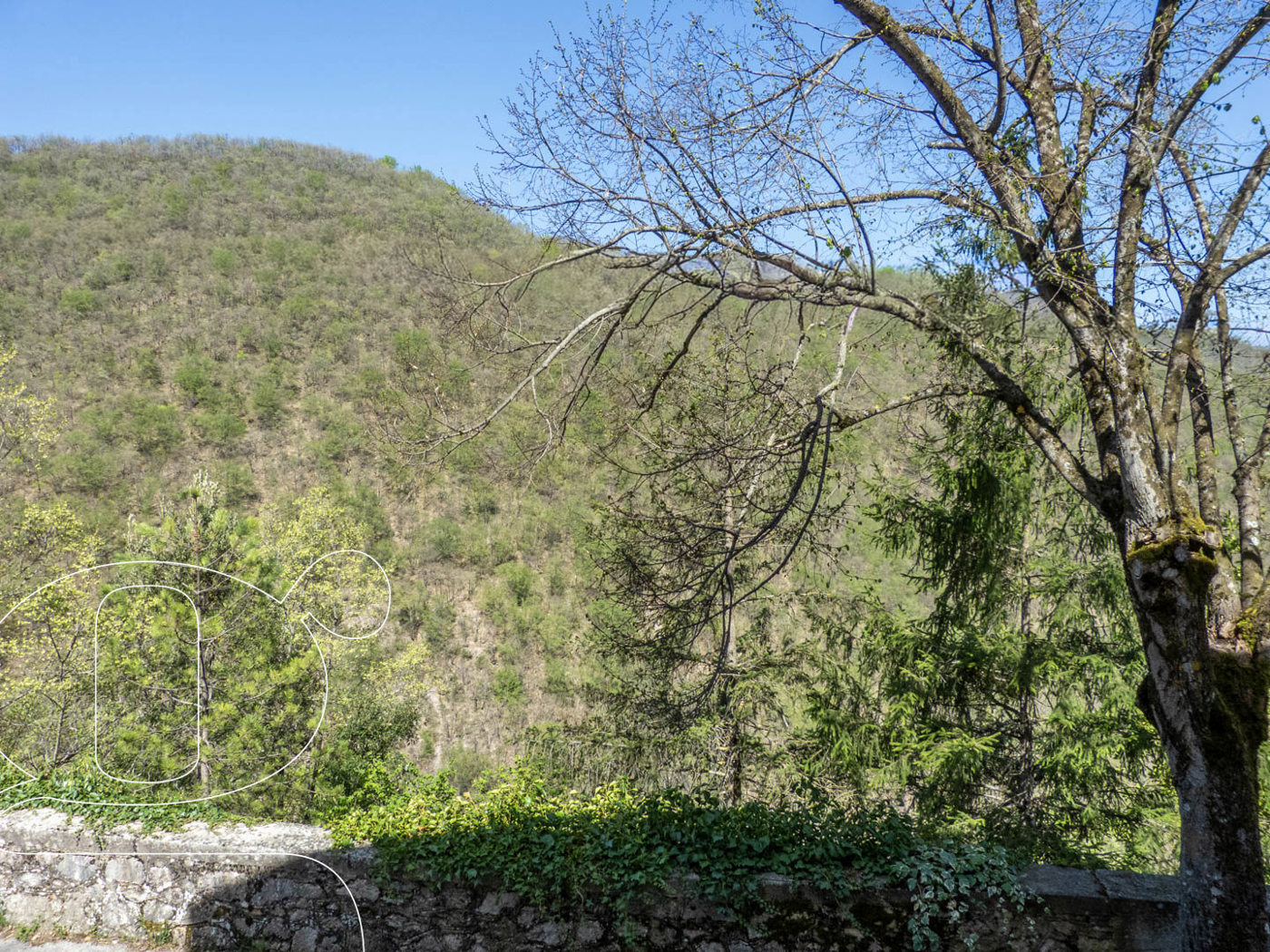 Rustico con giardino a Poggiodomo