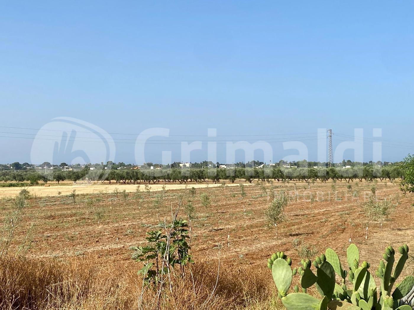 Terreno Agricolo in vendita a Tuglie