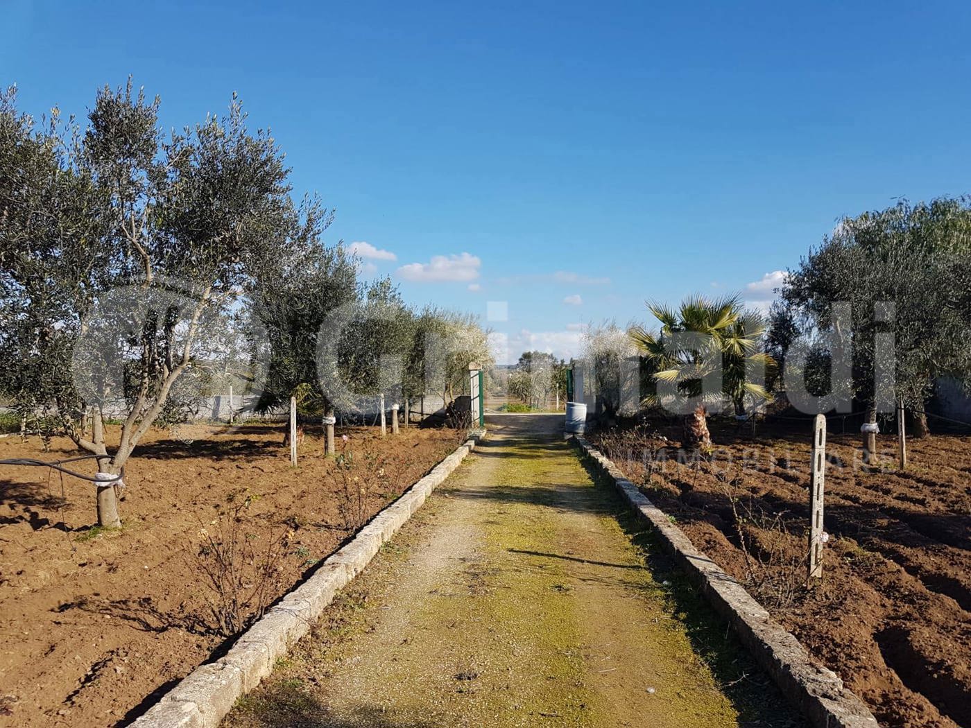 Terreno Agricolo in vendita a Parabita