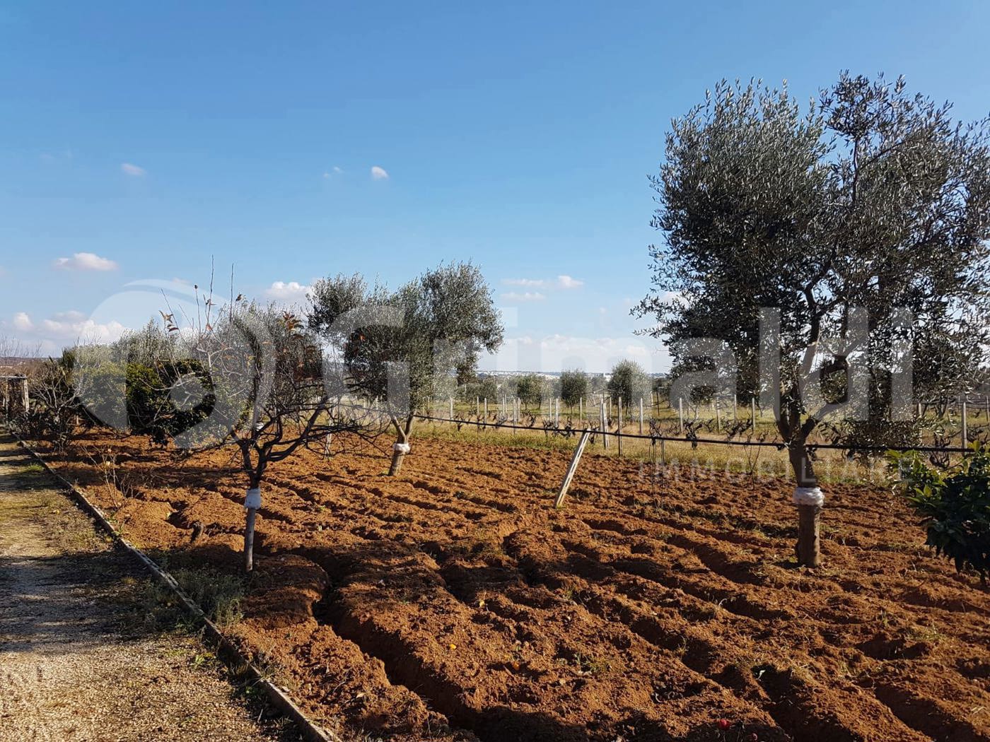 Terreno Agricolo in vendita a Parabita