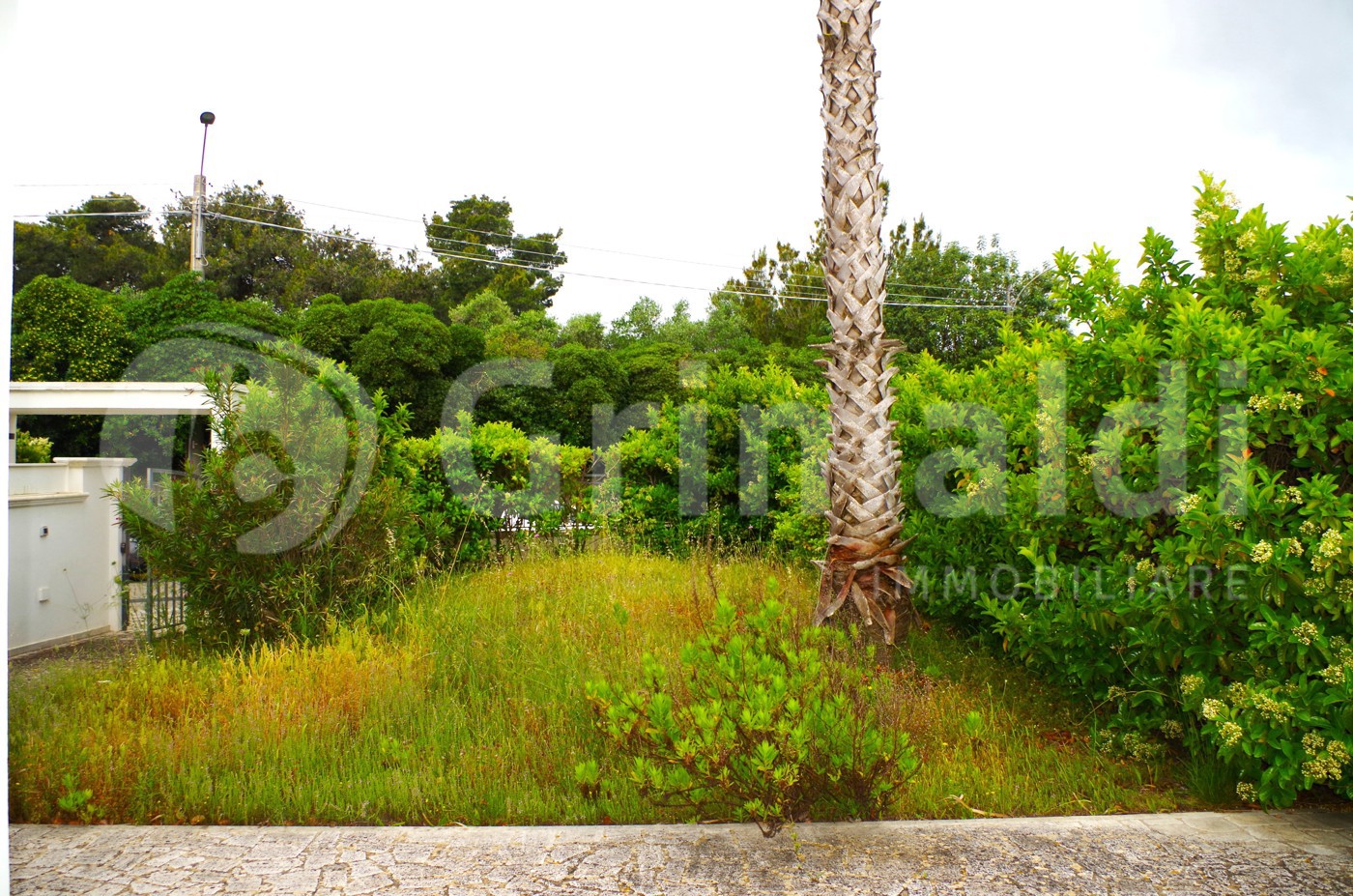 Villa con giardino a Tuglie