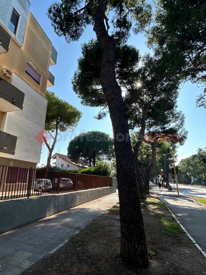 Bilocale da ristrutturare a Bari