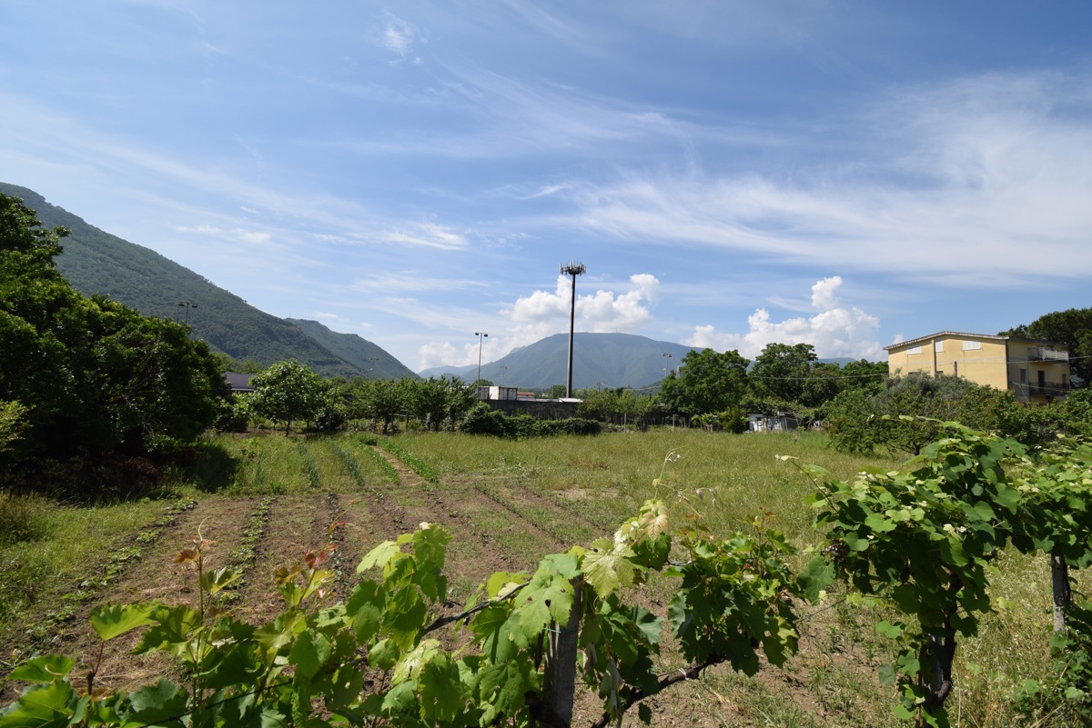 Terreno Agricolo in vendita a Castel San Giorgio