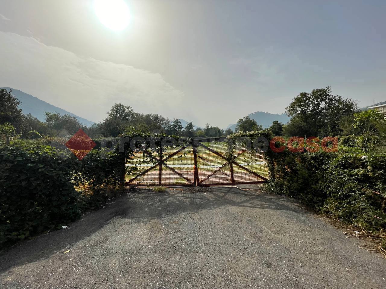 Terreno Agricolo in vendita a Siano