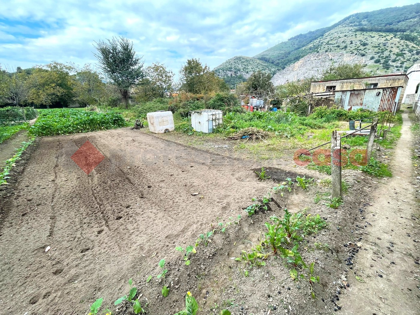 Terreno Agricolo in vendita a Castel San Giorgio