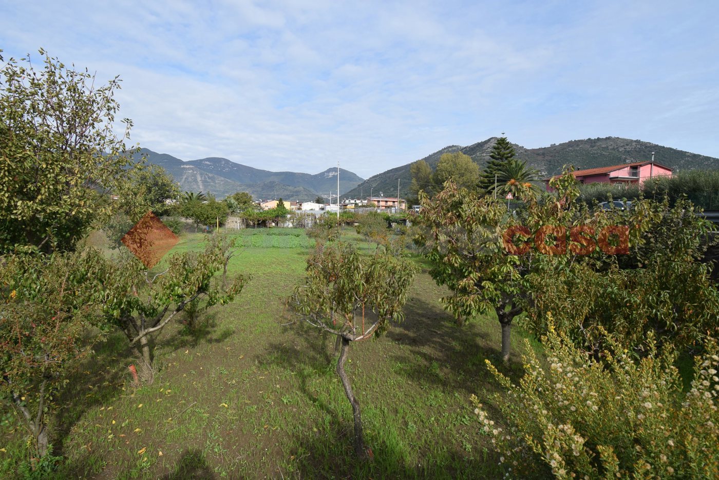 Terreno Agricolo in vendita a Castel San Giorgio