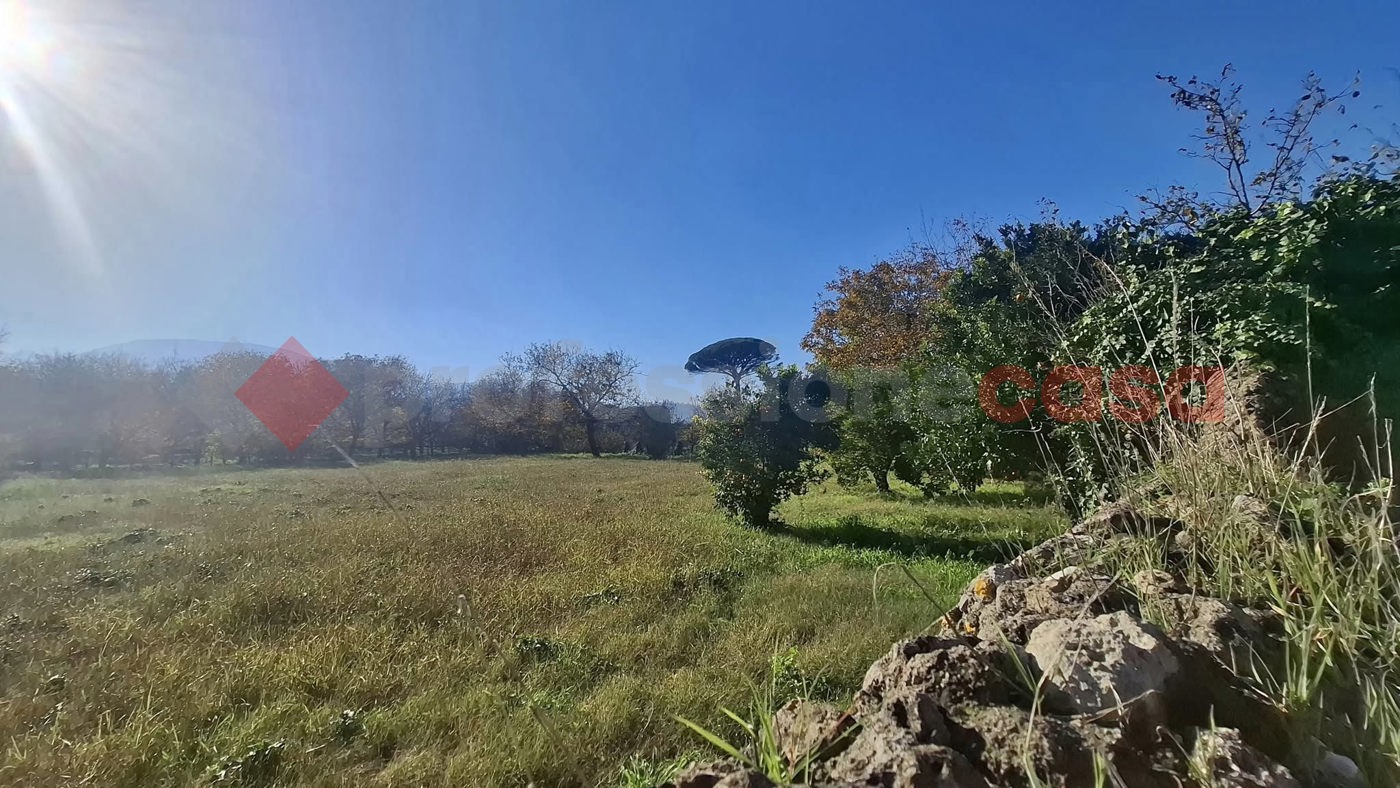 Terreno Agricolo in vendita a Castel San Giorgio