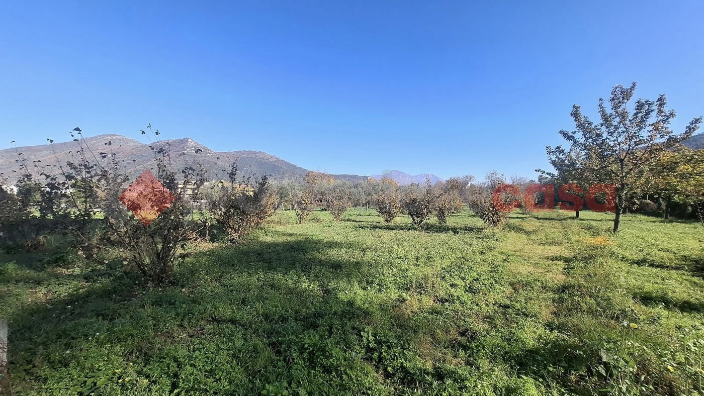 Terreno Agricolo in vendita a Castel San Giorgio