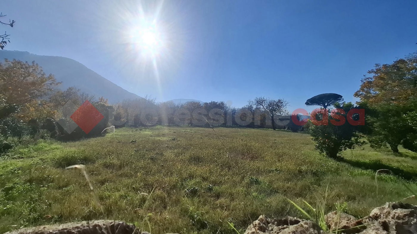 Terreno Agricolo in vendita a Castel San Giorgio