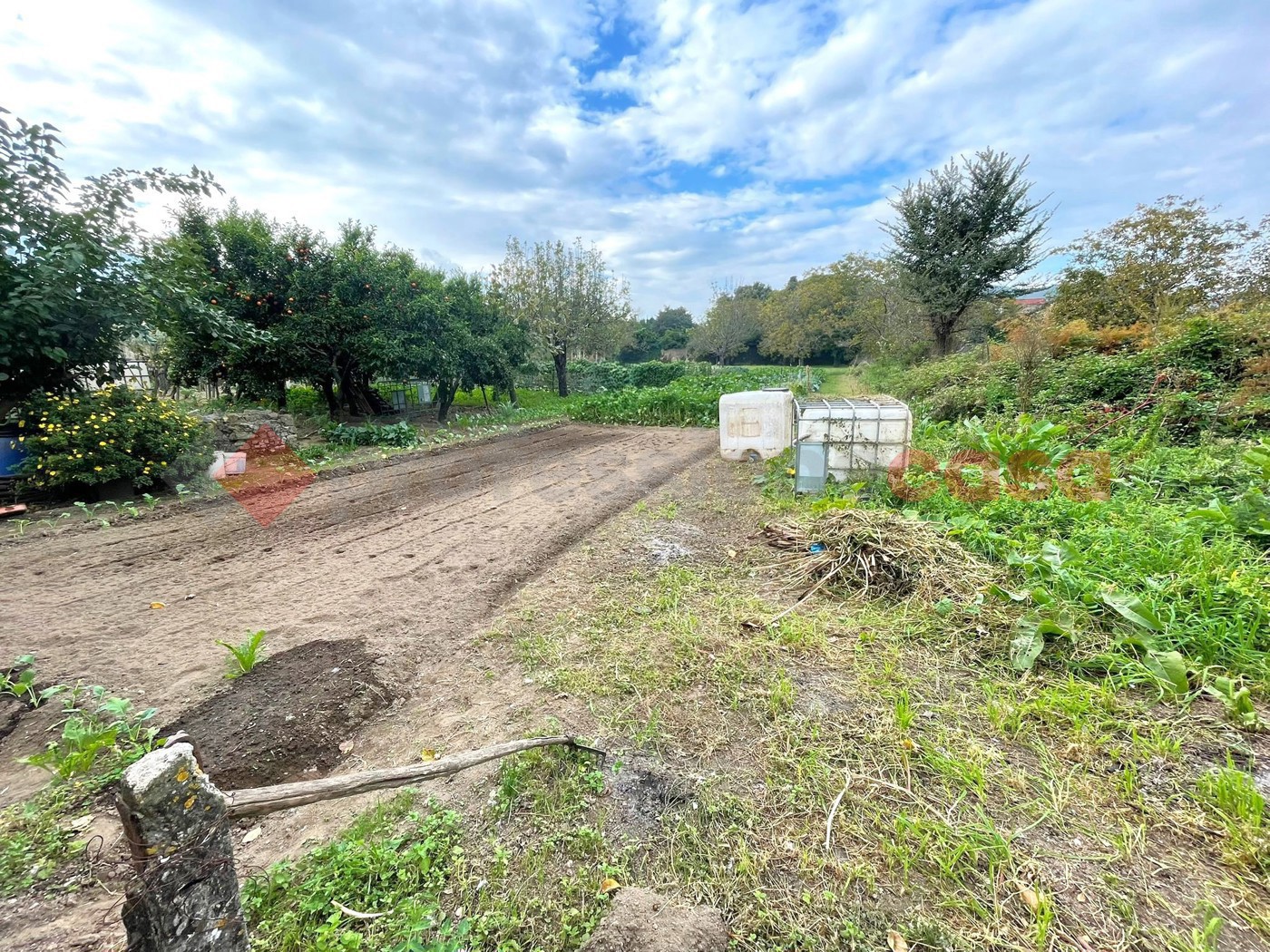 Terreno Agricolo in vendita a Castel San Giorgio