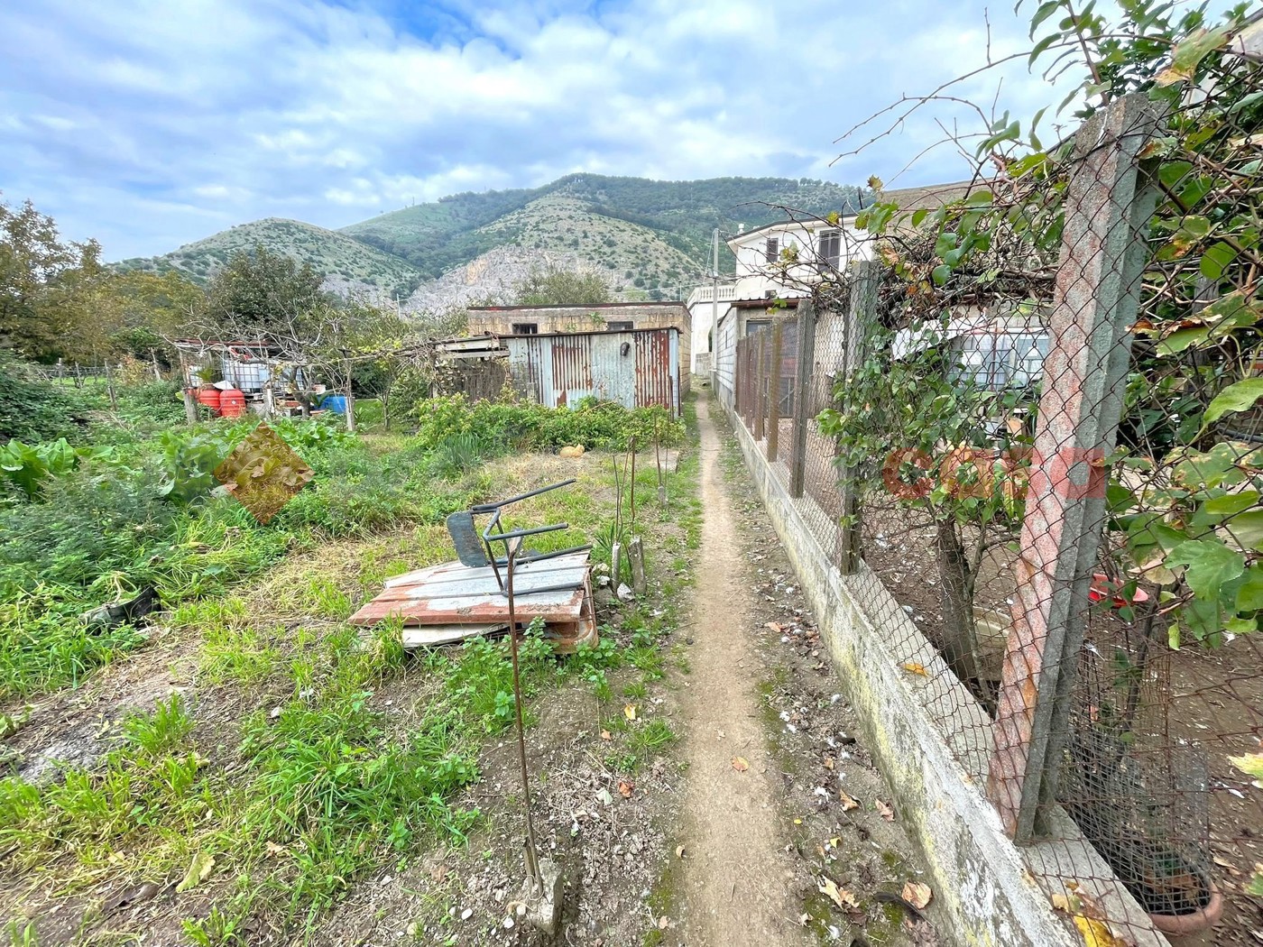 Terreno Agricolo in vendita a Castel San Giorgio