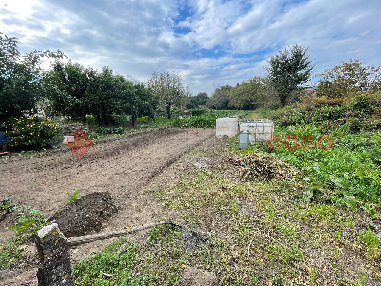 Terreno Agricolo in vendita a Castel San Giorgio