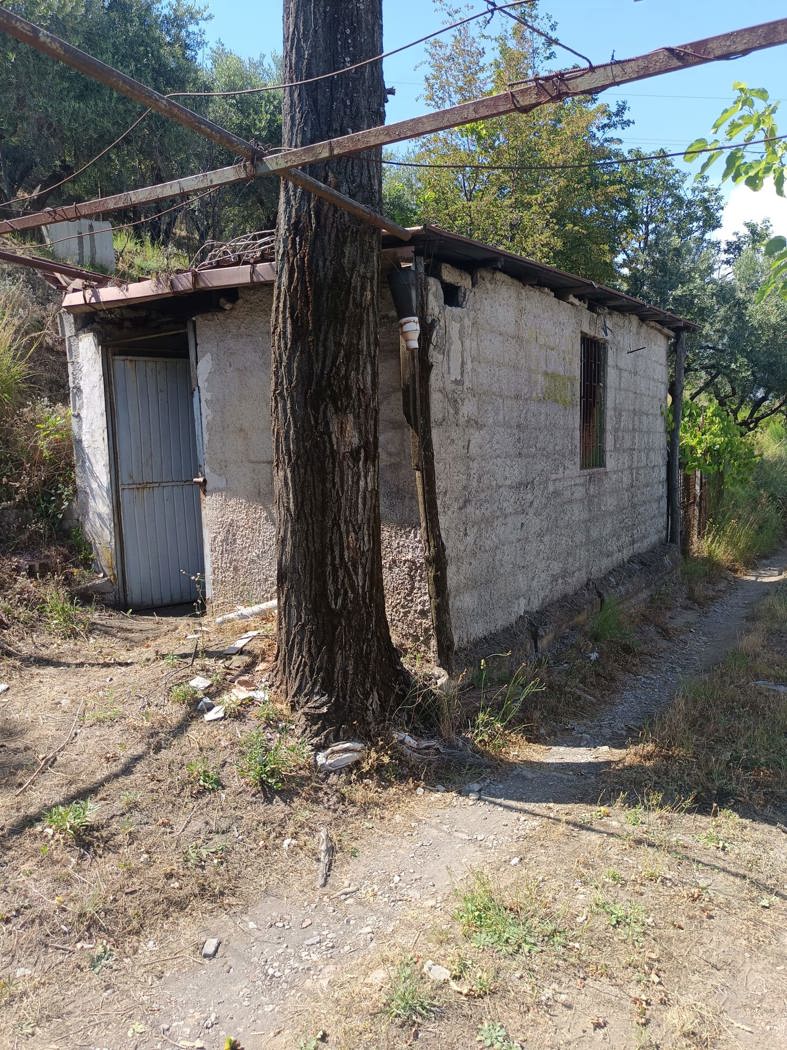 Terreno Agricolo in vendita a Castel San Giorgio