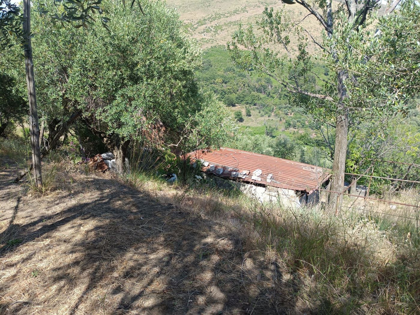 Terreno Agricolo in vendita a Castel San Giorgio