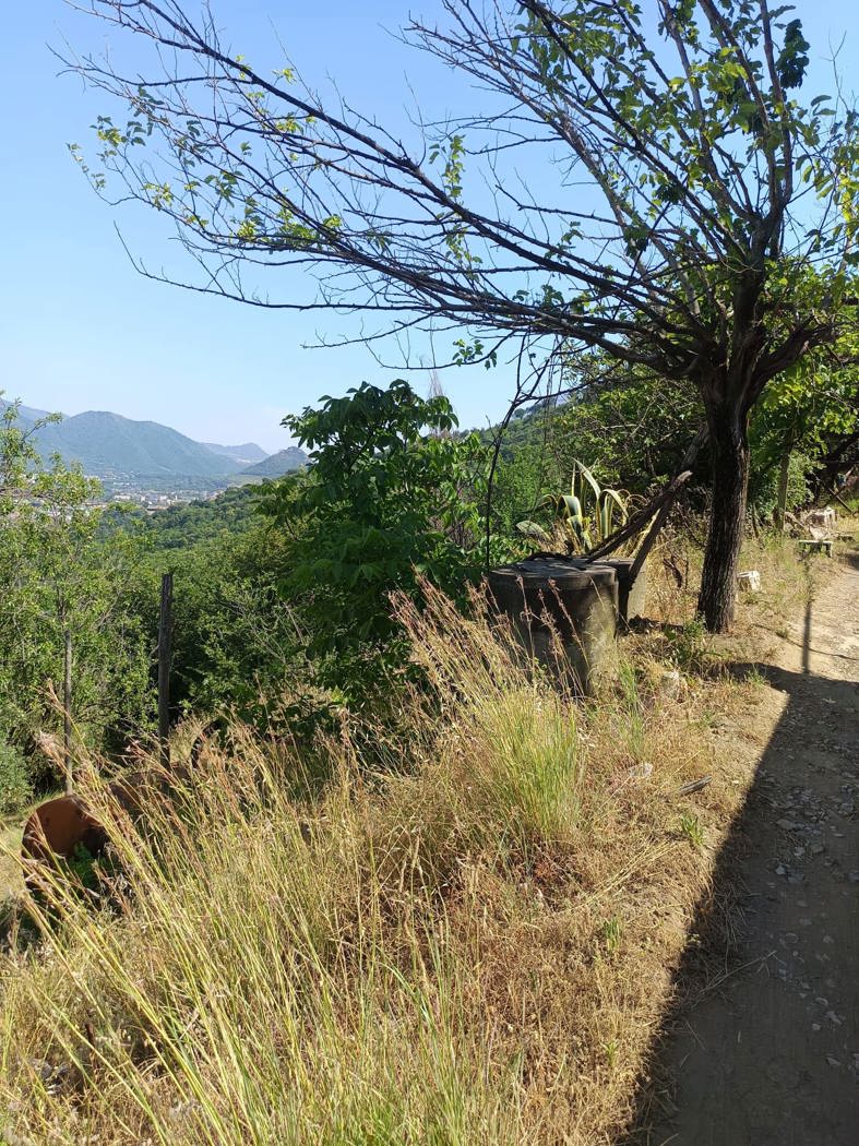 Terreno Agricolo in vendita a Castel San Giorgio