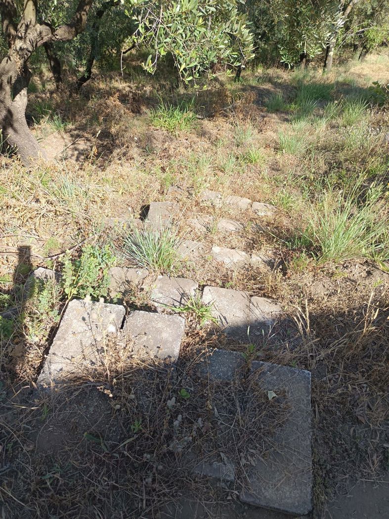 Terreno Agricolo in vendita a Castel San Giorgio