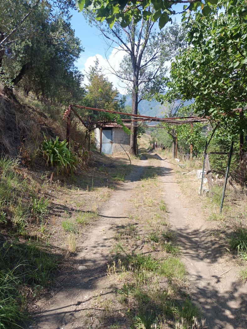 Terreno Agricolo in vendita a Castel San Giorgio
