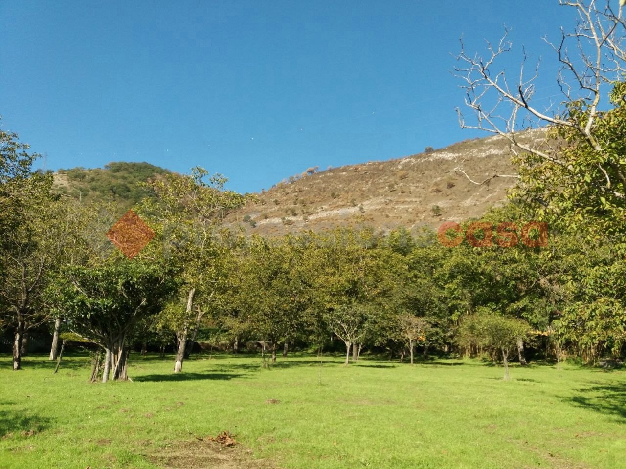 Terreno Agricolo in vendita a Castel San Giorgio