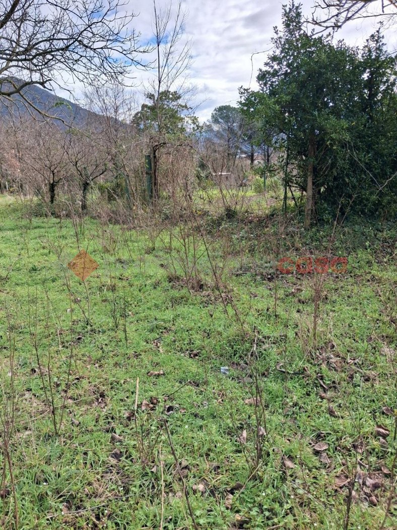 Terreno Agricolo in vendita a Castel San Giorgio