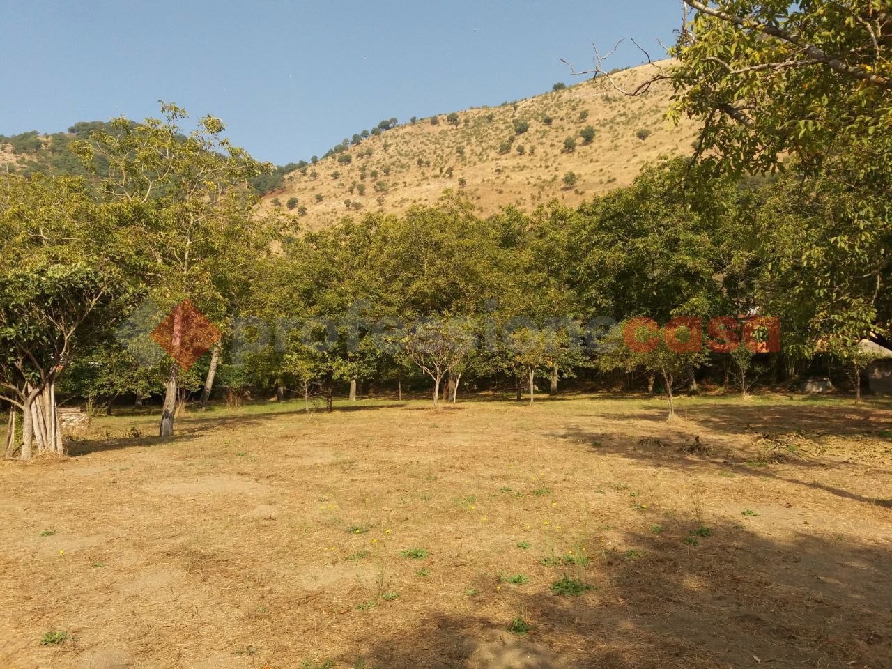 Terreno Agricolo in vendita a Castel San Giorgio