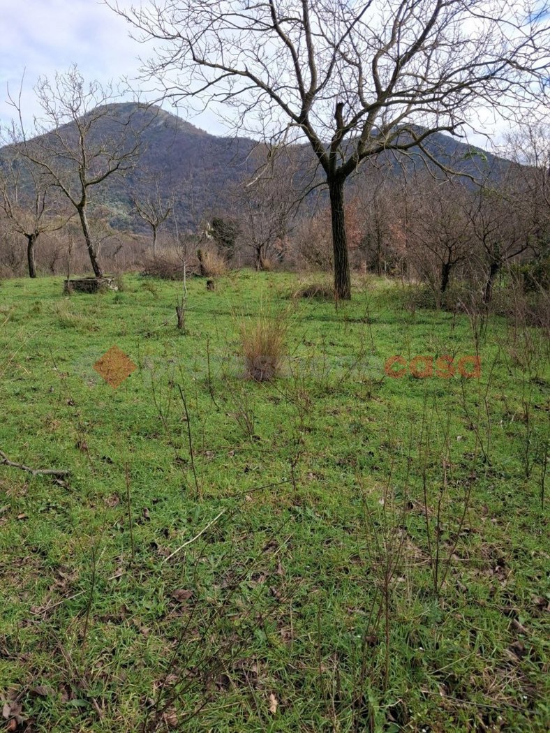 Terreno Agricolo in vendita a Castel San Giorgio