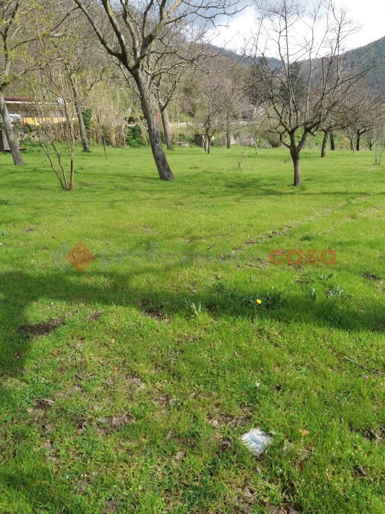 Terreno Agricolo in vendita a Castel San Giorgio