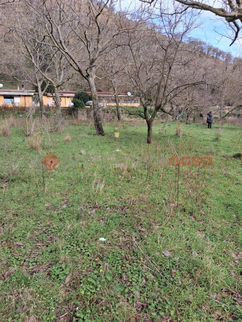 Terreno Agricolo in vendita a Castel San Giorgio