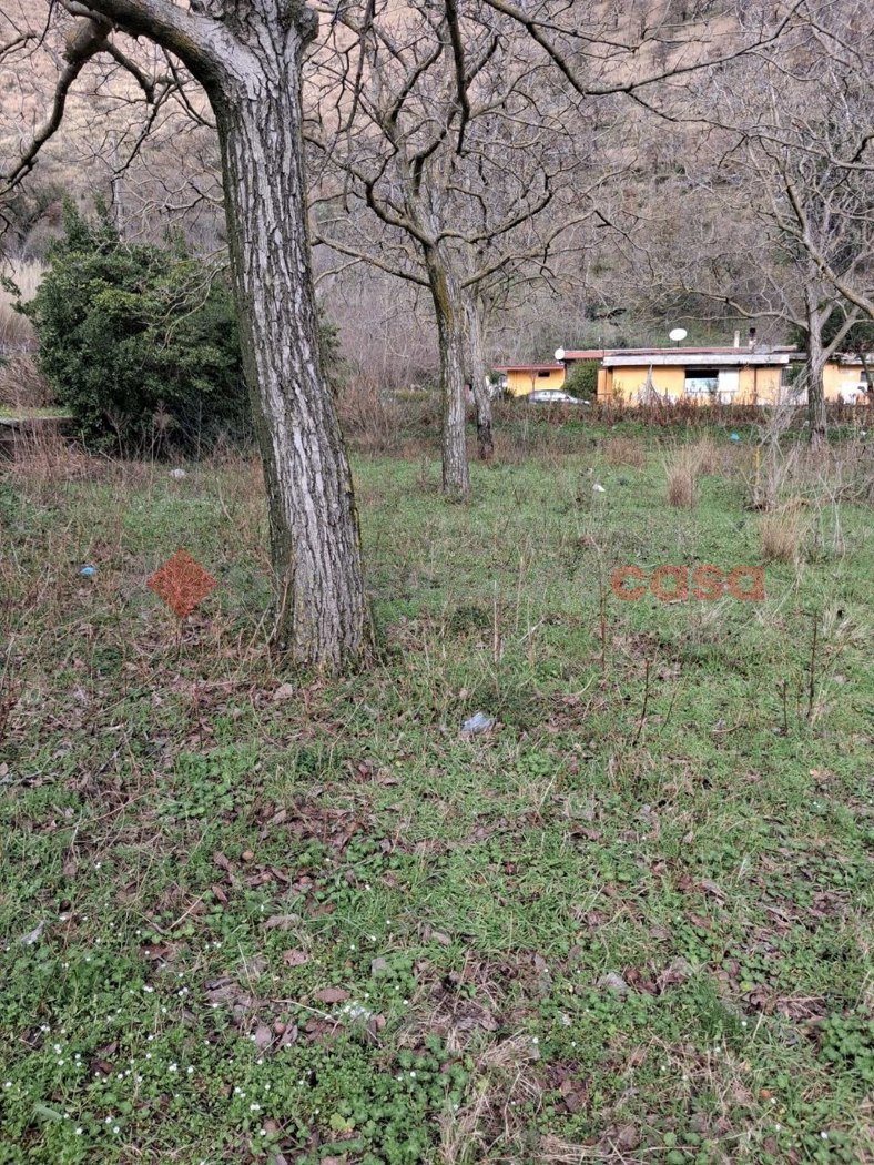 Terreno Agricolo in vendita a Castel San Giorgio