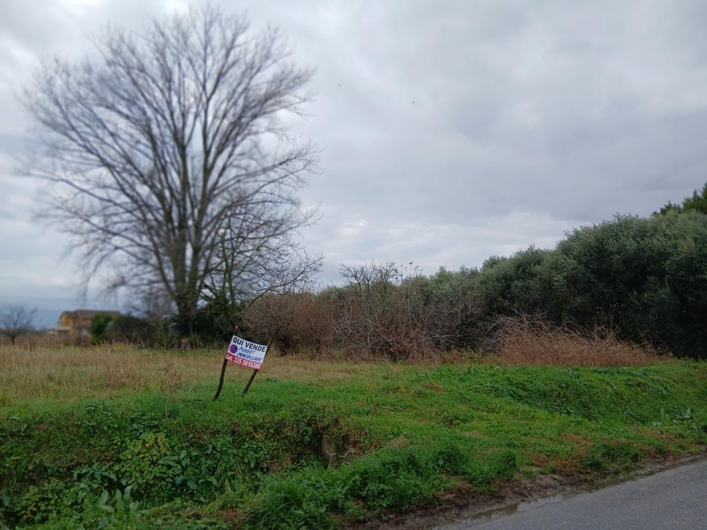 Terreno Agricolo in vendita a Vecchiano