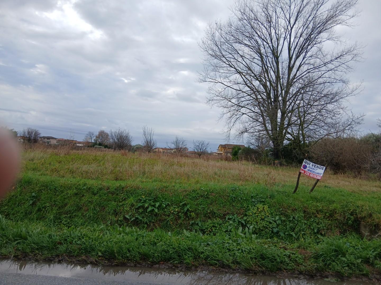 Terreno Agricolo in vendita a Vecchiano