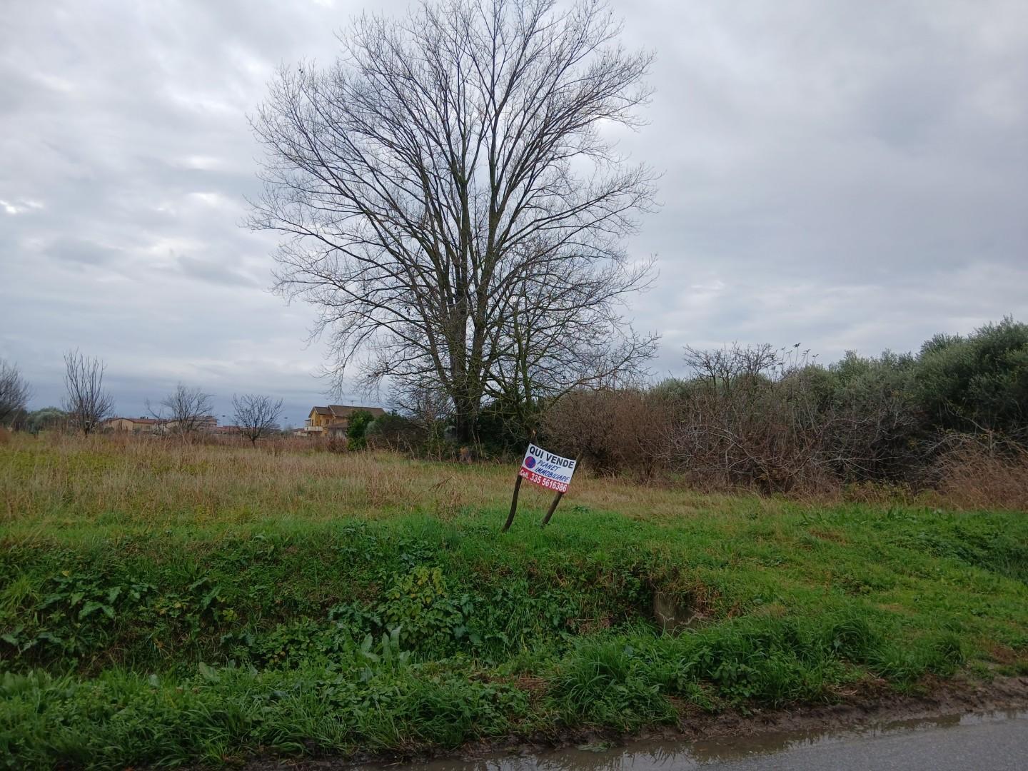 Terreno Agricolo in vendita a Vecchiano
