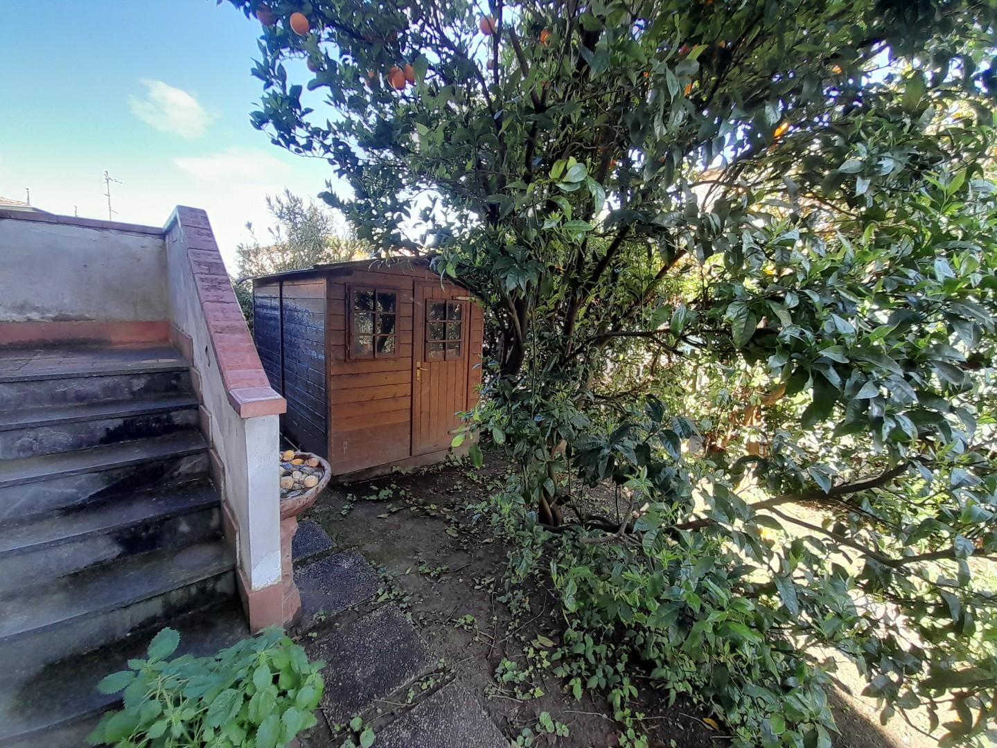 Quadrilocale con giardino, Vecchiano migliarino