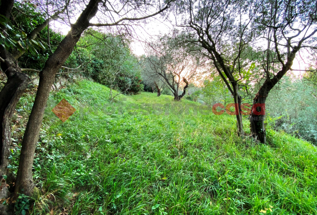 Terreno Agricolo vista mare a Livorno